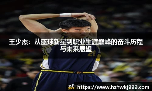 乐发Vll官网